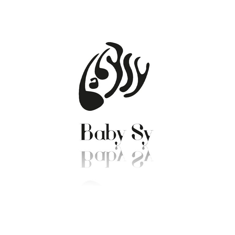 Logo et charte graphique BABYSY